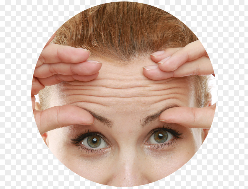 What Causes Aging Wrinkle Forehead Frown Ageing Eyebrow PNG