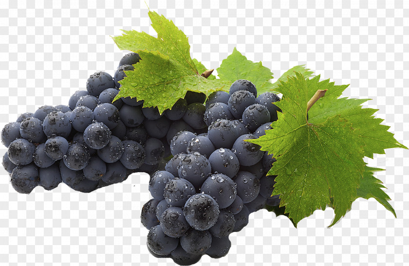 Grape Common Vine Juice Desktop Wallpaper Fruit PNG