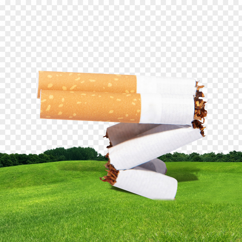 Grassland Background Cigarettes Poster Smoking Banner PNG
