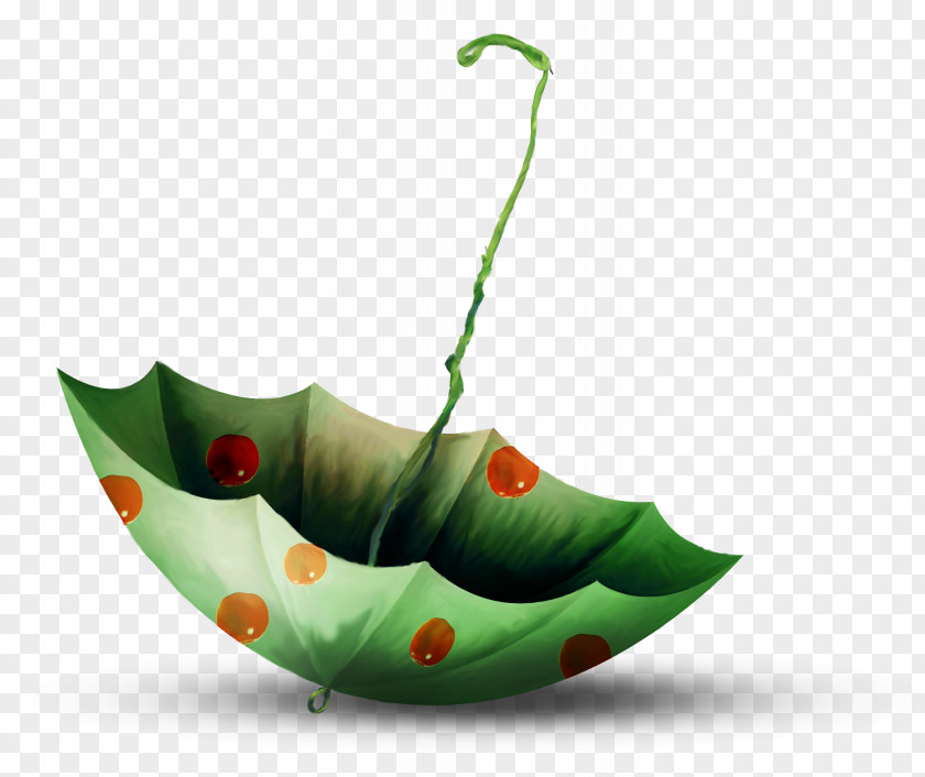 Green Umbrella Drawing PNG