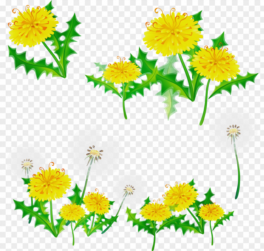Herb Cut Flowers Drawing Of Family PNG