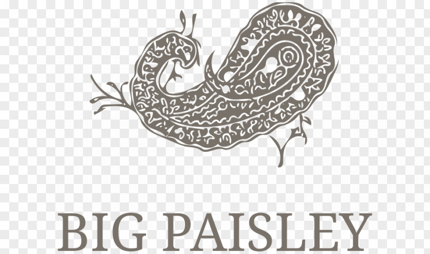 Paisley Chamois Embroidery Velvet Pattern PNG