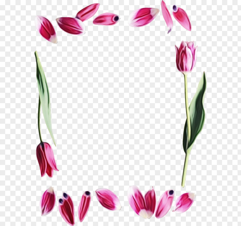 Pedicel Tulip Pink Flower Cartoon PNG
