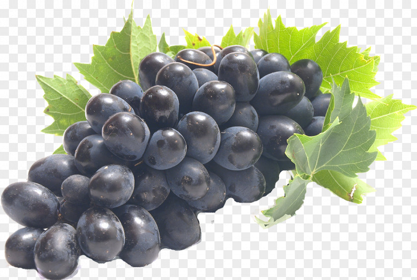 Wine Common Grape Vine Juice Fruit PNG