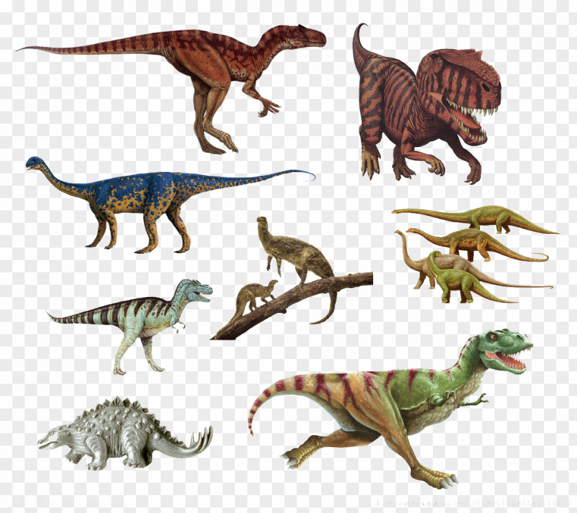 All Kinds Of Dinosaurs Tyrannosaurus Velociraptor Dinosaur Extinction PNG