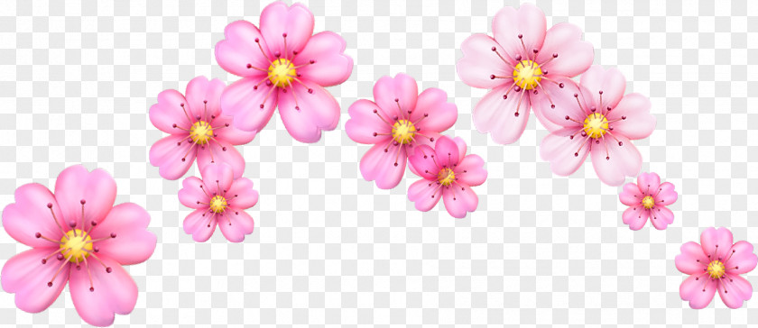 Crown Kiss Cherry Blossom Emoji Flower Image PNG
