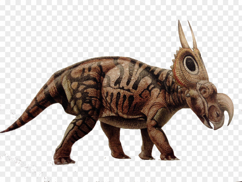 Dinosaur Tyrannosaurus Diabloceratops Velociraptor Ceratopsia PNG