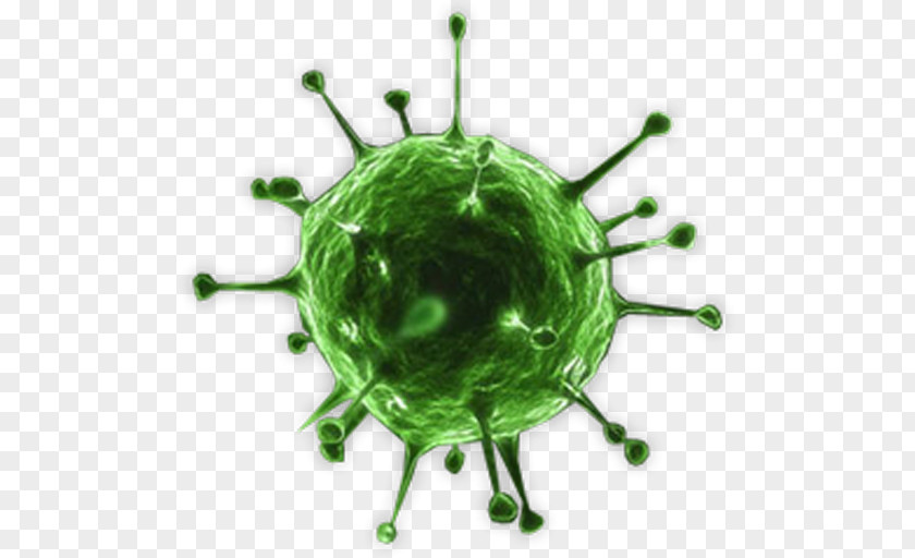 H1n1 Virus Isolation Influenza Electron Microscope Bacteria PNG