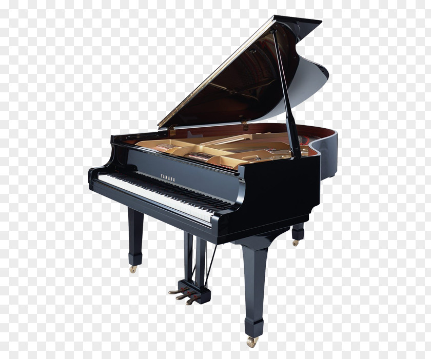 Piano Art Grand Musical Instrument Keyboard PNG