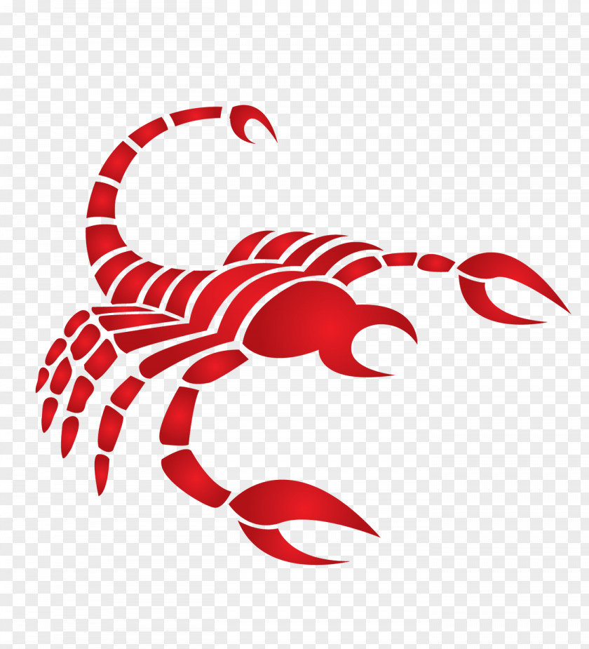 Scorpions Scorpio Horoscope Astrology Astrological Sign Taurus PNG