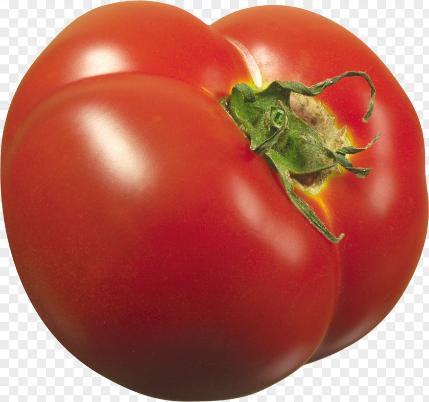 Tomato Plum PNG