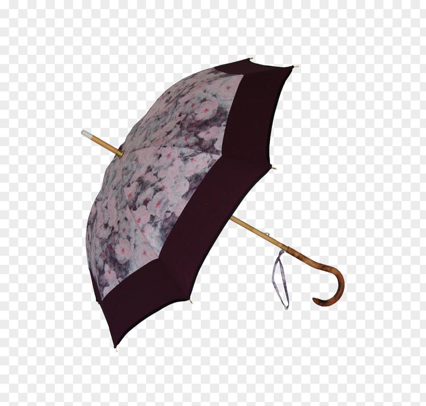 Umbrella Ayrens Auringonvarjo Ombrelle Recreation PNG