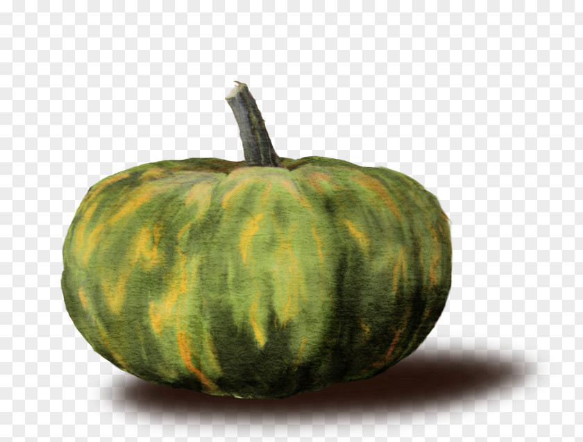 Verdura Pumpkin May Gourd Calabaza Winter Squash PNG