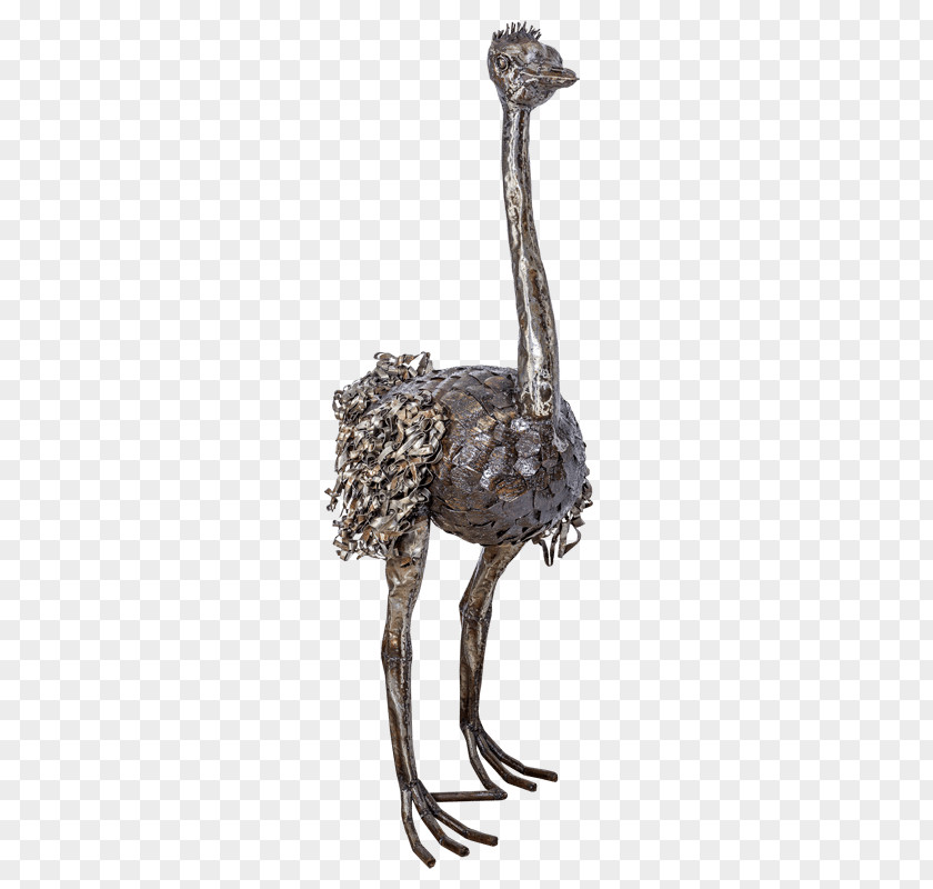 Common Ostrich Sculpture Bird Statue PNG