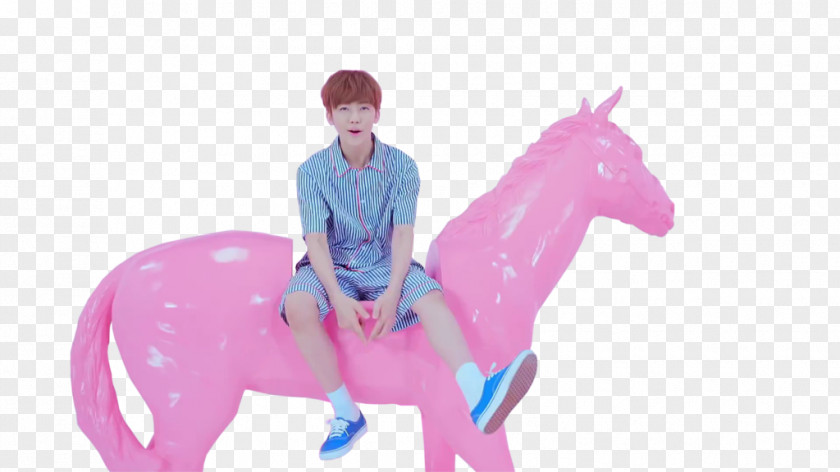 Dreams Horse NCT Dream My First And Last DeviantArt PNG