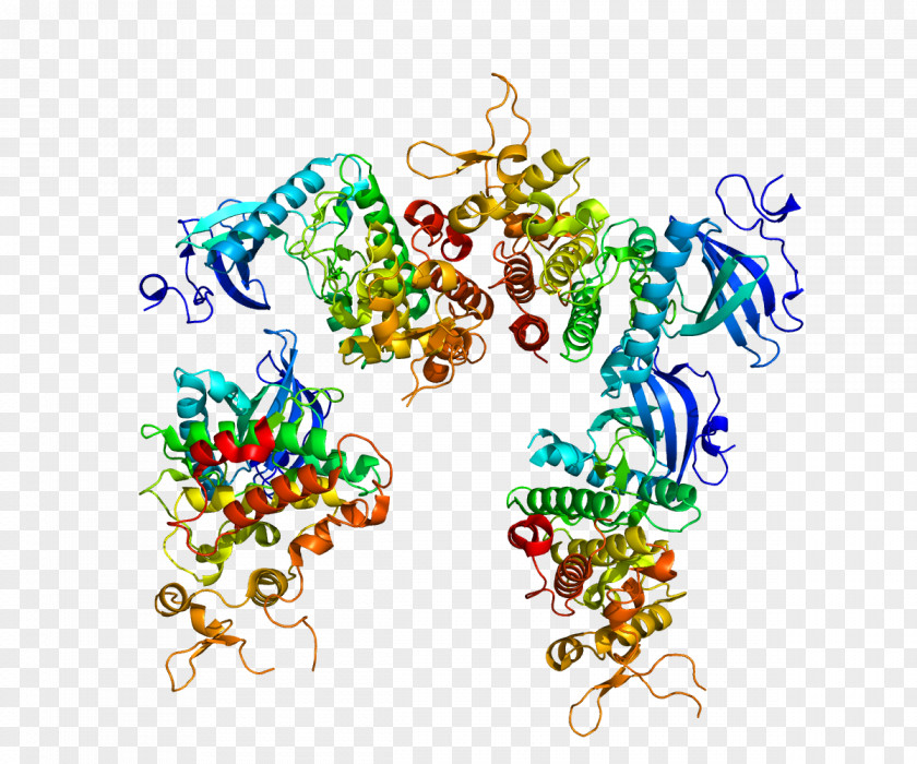DYRK1A Dual-specificity Kinase Protein Gene PNG