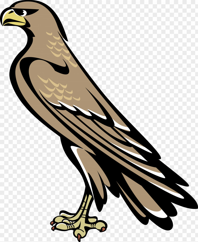 Falcon Symbol Coat Of Arms Australia Heraldry Crest PNG