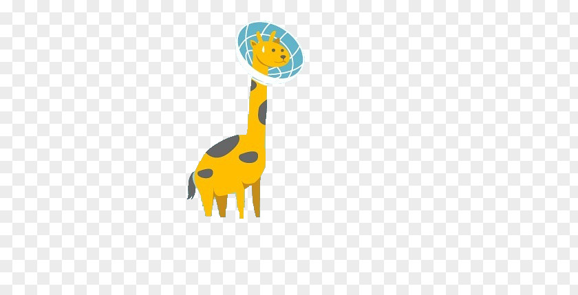 Giraffe,Long Neck,lovely,animal Giraffe Animal Download PNG
