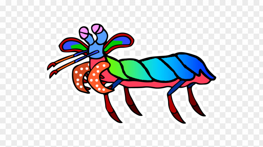 Insect Clip Art Odontodactylus Scyllarus Caridean Shrimp Mantis PNG