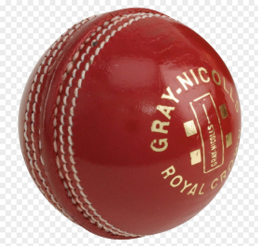 Netball Training Catches Cricket Balls Gray-Nicolls Sports PNG