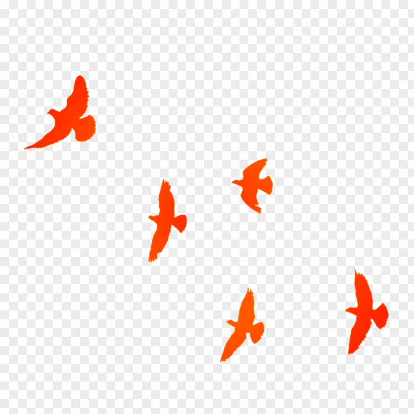 Orange Geese Flying South China Bird PNG