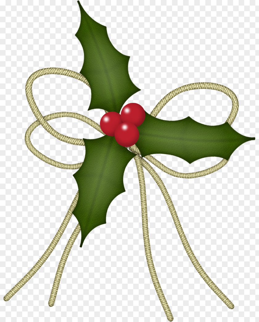 Sweet Peas Common Holly Machine Embroidery Christmas Plants Ornament PNG