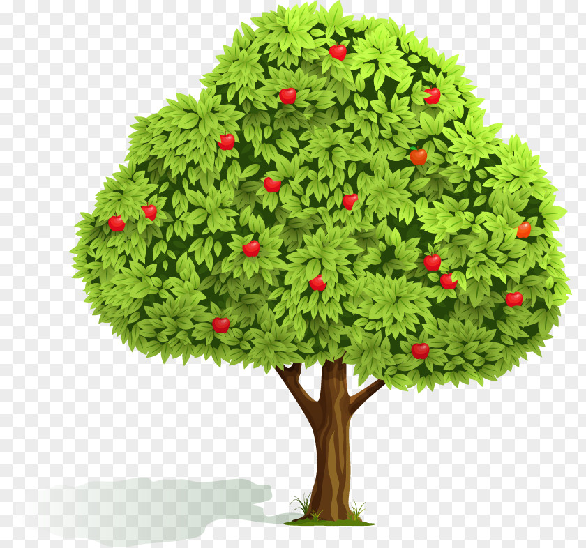 Apple Fruit Tree Orchard Clip Art PNG