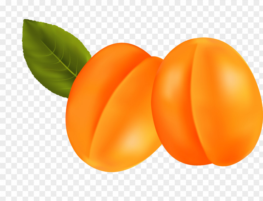 Apricot Vegetarian Cuisine Clip Art PNG
