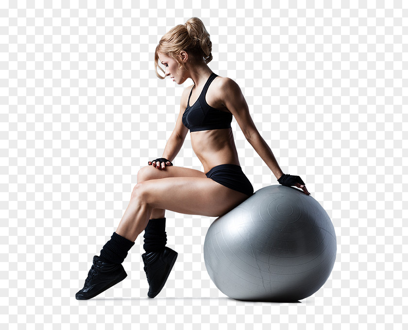 Ball Exercise Balls Physical Fitness Sport PNG