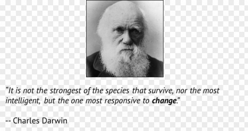 Beard Charles Darwin Chin Homo Sapiens Human Behavior PNG