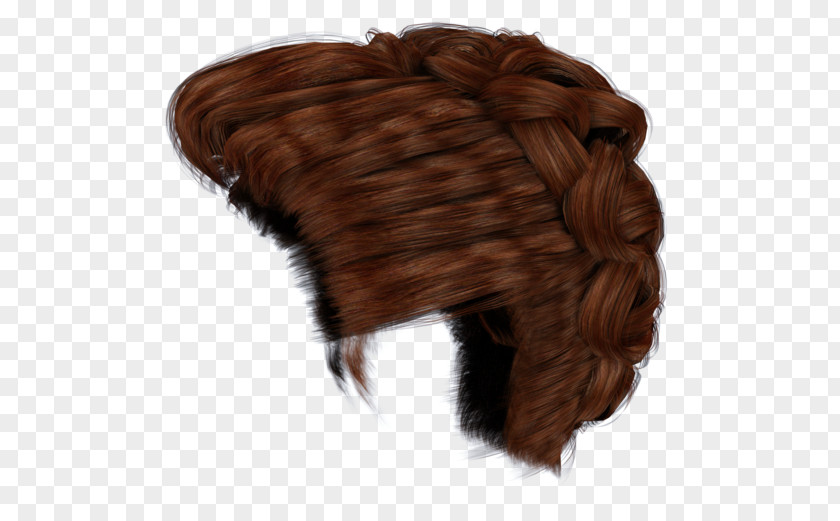 Bun Wig Braid Hair PNG