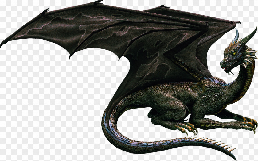 Dragon Loved By The Collection Clip Art PNG