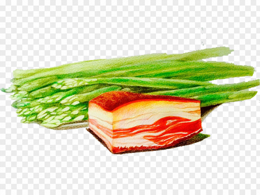 Hand-painted Asparagus Bacon Tocino Vegetable PNG