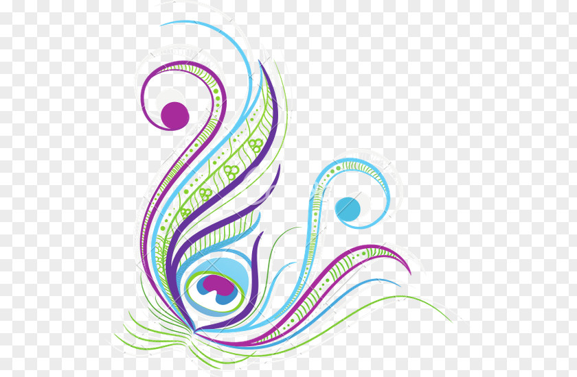Peafowl Feather Drawing PNG