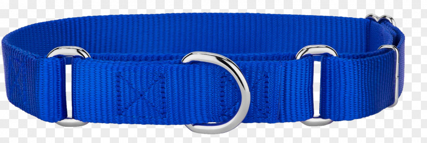 Dog Collar Martingale Blue PNG