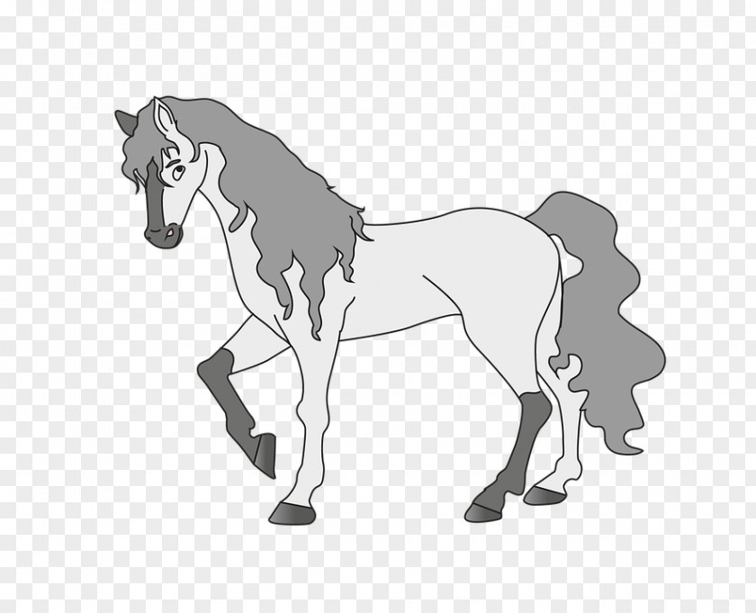 Mustang Mule Foal Stallion Pony PNG