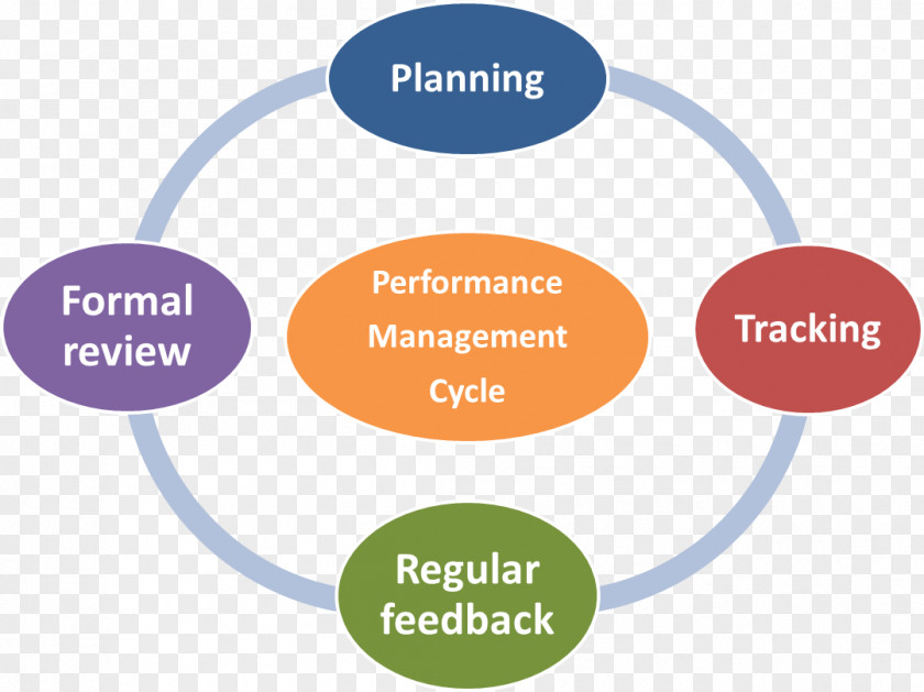 Performance Business Management Appraisal Human Resource PNG
