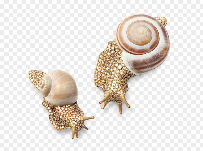Snail Jewellery Brooch Earring Diamond Pin PNG