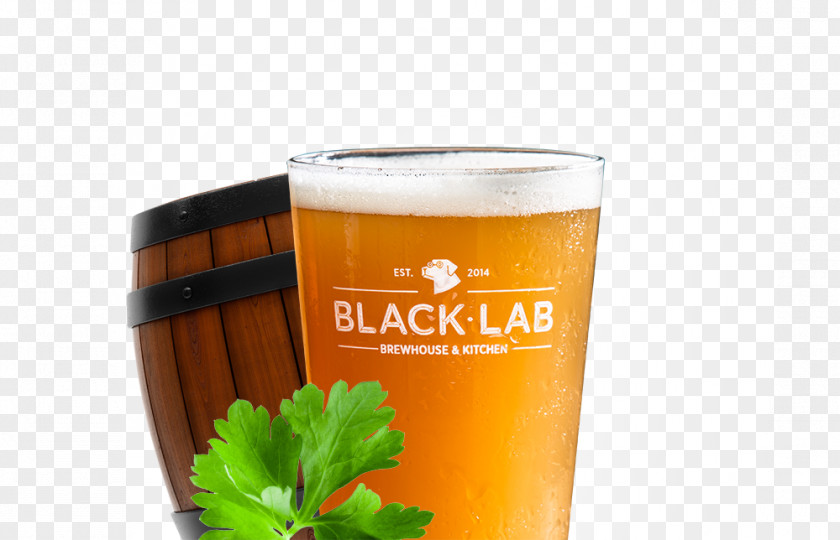 Beer Wheat Imperial Pint Glass Barley Tea PNG