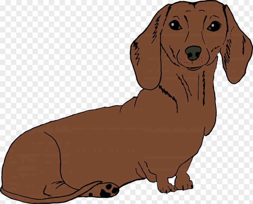 Dachshund Cartoon Dogs Puppy Dog Breed Companion Hound PNG