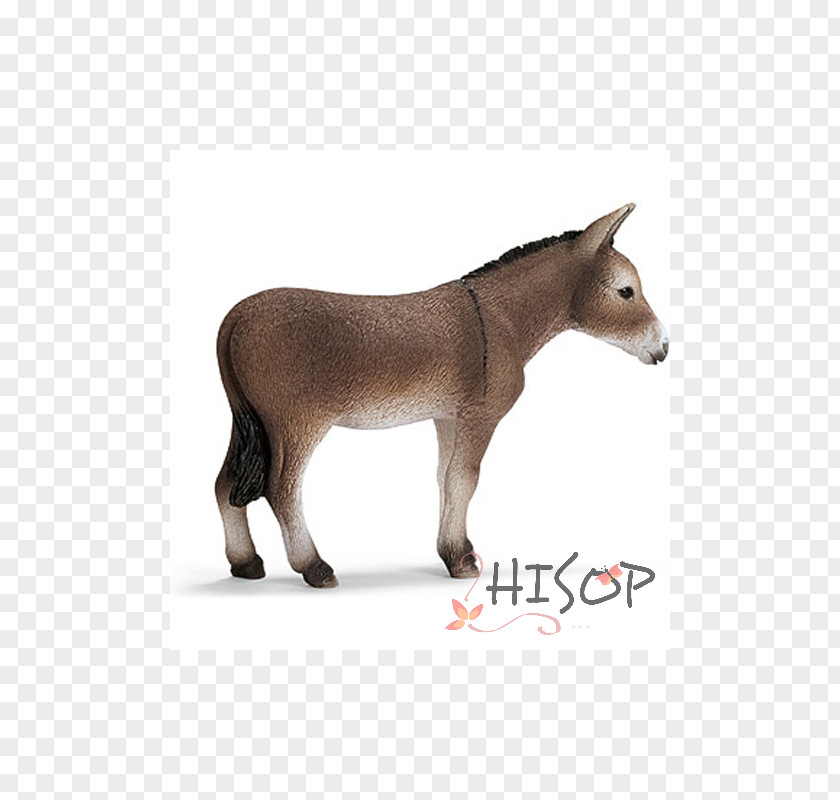Donkey Schleich Amazon.com Foal Toy PNG
