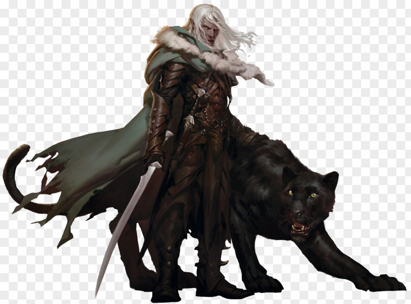 Dungeons And Dragons & The Companions: Sundering Legacy Drizzt Do'Urden House PNG