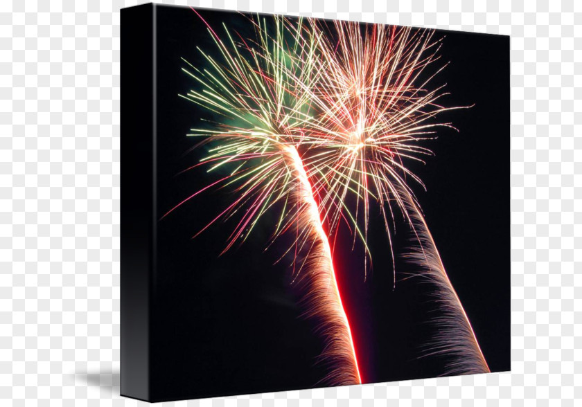 Green Palm Leaves Fireworks Explosive Material Desktop Wallpaper Stock Photography PNG
