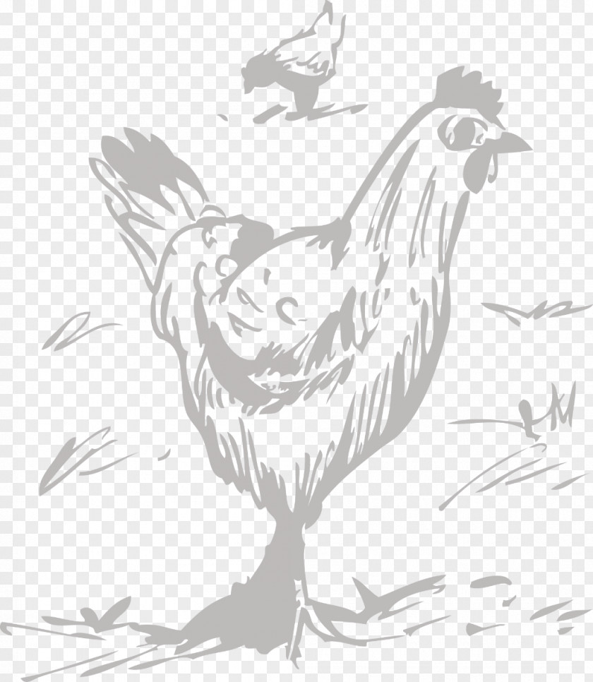 Hand-painted Chicken Rooster Drawing Black And White PNG