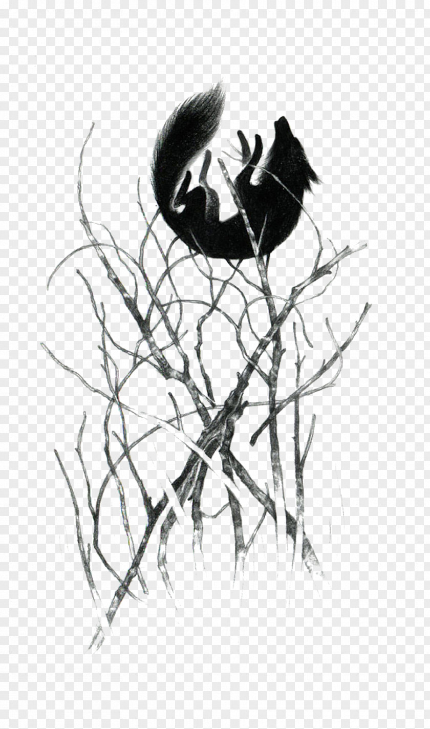 Hanging From A Tree Fox Adobe Illustrator Drawing Art Illustration PNG