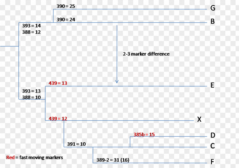 Line Point Angle Document PNG