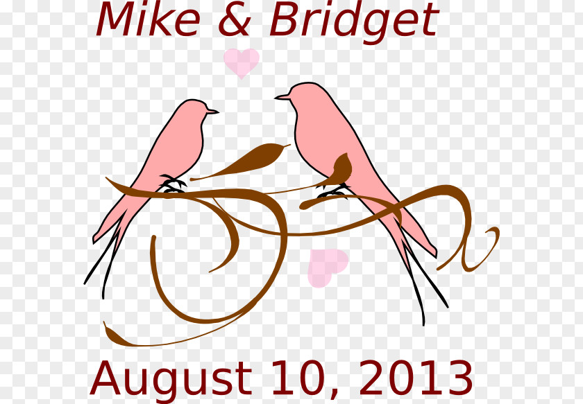 Love Birds Lovebird Clip Art PNG