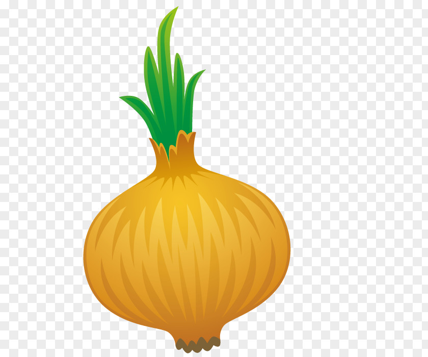 Yellow Onion Pumpkin Calabaza PNG