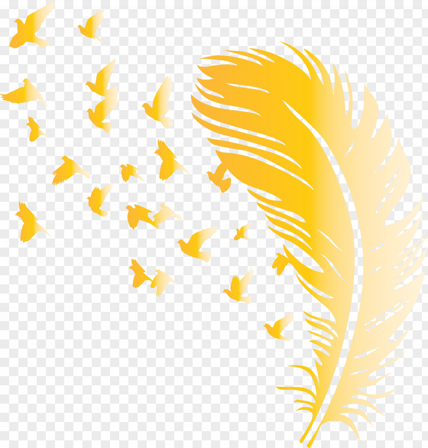 Bird Feather PNG