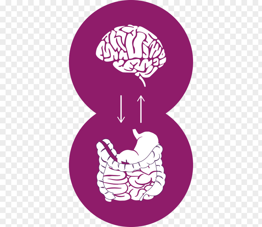 Gut Brain Axis Knowledge Irritable Bowel Syndrome Gut–brain Art Clip PNG